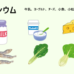 カルシウムが多い食材
