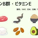 ビタミンB群、Eが多い食材