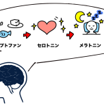 メラトニン生成