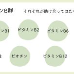 ビタミンB群