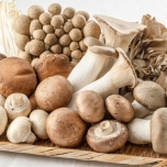 秋の食中毒のイメージ