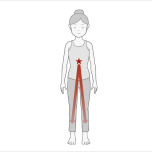脚はみぞおちの辺りから膝に向かって伸びている