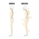 姿勢が悪いとふくらはぎも太くなる