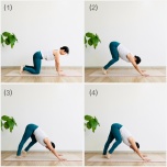 ダウンドッグウォーキング