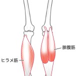 下腿三頭筋