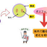 ポリフェノール