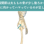 股関節のポジション
