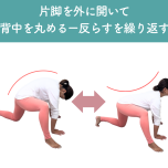 股関節のはめ込み