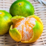 みかんのイメージ