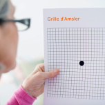 アムスラー格子