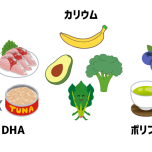 EPA・カリウム・ポリフェノールのイラスト