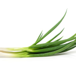 ねぎのイメージ