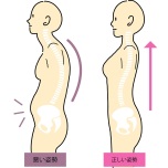 腸腰筋で姿勢が崩れる