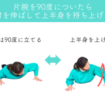 片腕の腕たてトレーニング