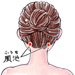 風池　ツボ　イラスト