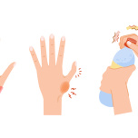 イラスト／Adobe Stock