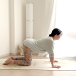 猫と牛のポーズ