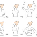 肩甲骨の動き
