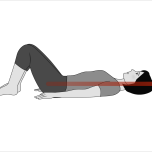 脊椎は頭頂部の方に伸びていくと思う