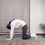 キャット＆カウ