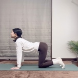 キャット＆カウ