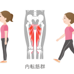 内もも