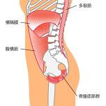 骨盤底筋