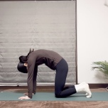 キャット＆カウ