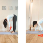 ダウンドッグエクサ