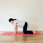 背骨ストレッチ