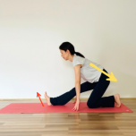 ハーフハヌマン