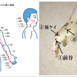 イラストAC, photo by Naomi Nishikawa