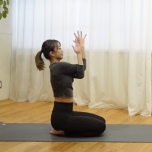 わしの手のポーズ