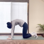 キャット＆カウ