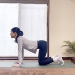 キャット＆カウ