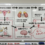 副腎疲労の説明図②