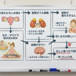 更年期と糖質欲求