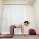 四つ這いの体勢