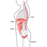 インナーユニット