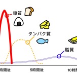 血糖スパイクイラスト