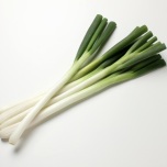 ネギ