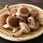 しいたけ