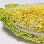 白菜 葉先