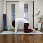 キャットアンドカウ