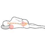 横向きねで背骨が歪む