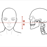 頭の位置と大きさの認識をアップデートする