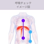 呼吸チェック３
