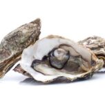 亜鉛食材　牡蠣