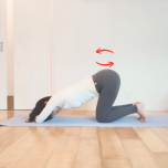 肘つきストレッチ