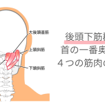 後頭下筋群